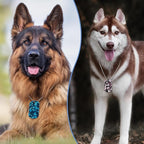 Saintrygo 48 Pcs Camouflage Dog Tags Military Acrylic Army Dog Tags Party Favors Camo Party Favors Include 24 Camo Necklaces with 24 Beaded Chains for Kids Men Women(Dark Colors)