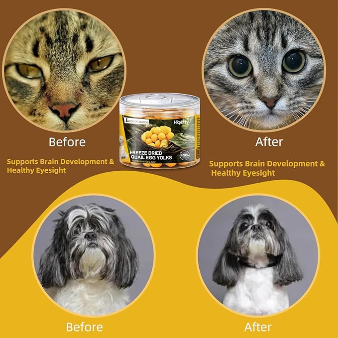 Freeze Dried Cat and Dog Treats Quail Egg Yolk, Healthy Tasty Snacks for Cats Dogs Training, Natural Freeze-Dried Limited Ingredient,Wholesome and Delicious Snacks for Pets (S, Quail)