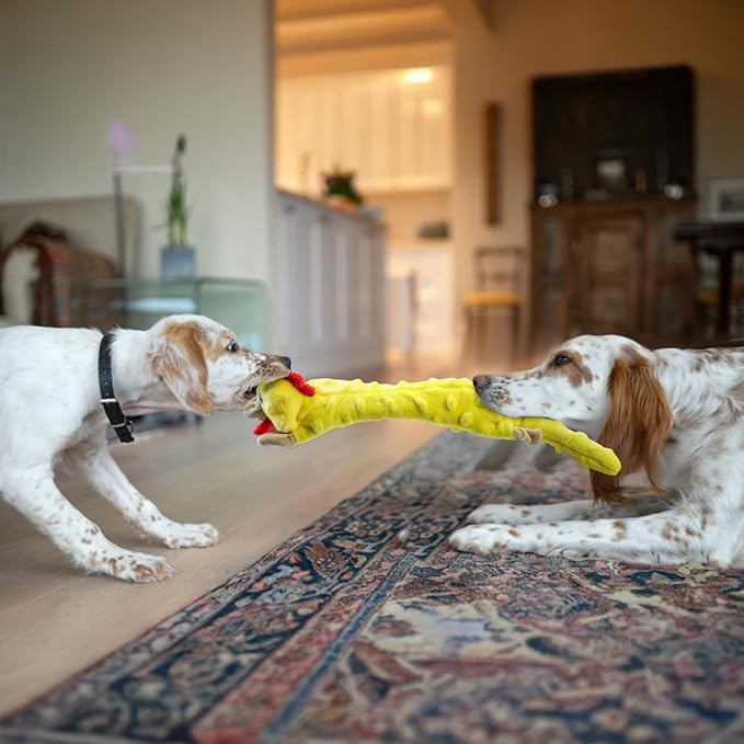 SHARLOVY Dog Squeaky Toys Pack, Bubble Plush Puppy Teething Pet Toys, Crinkle No Stuffing Animals Dog Toy, Doggies Chew for Large Small Medium Breeds