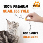 PAWUP Freeze Dried Quail Egg Yolk Pet Treats, Freeze-Dried Pet Food for Dogs, Cats, Pure Fresh Ingredient, 4.2 oz, Rawhide Free, Gluten&Grain Free