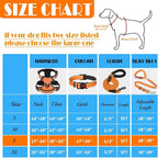 No Pull Dog Harness, Collar & Leash Set | Includes Dog Seat Belt, Collapsible Bowls & Poop Bag Dispenser. Ideal for Training, Walking, Hiking. Fits Small to Large Dogs(Orange-L)