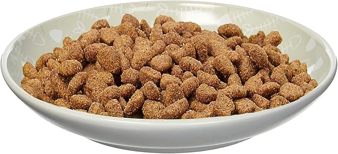 PetRageous 16069 Fishbone Kitty Stoneware Cat Saucer 5-Inch Diameter 2.5-Ounce Capacity for Wet or Dry Cat Food, Brown