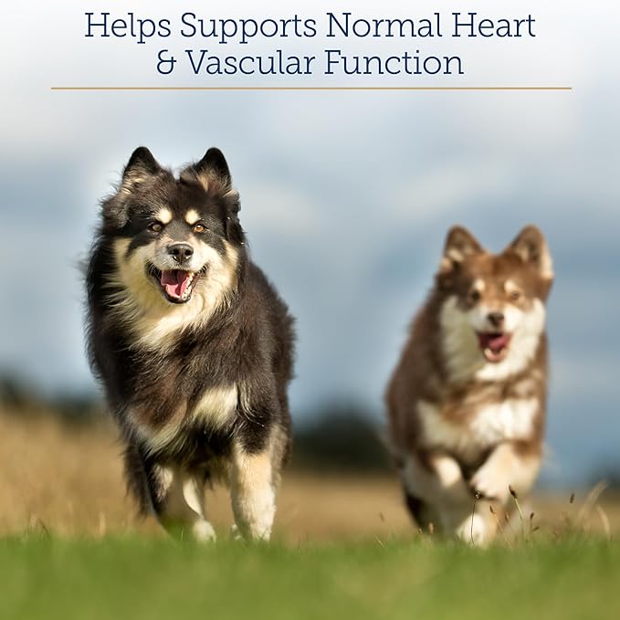 Rx Vitamins Formula CV - Hawthorn Berry Capsules with Taurine for Dogs & Cats - Heart Health Supplements Enhanced with Magnesium and Potassium - Senior Dog Vitamins and Senior Cat Vitamins - 90ct