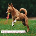 Dog Rope Toy for Medium and Small Dogs Interactive Puppy Toys Tug of War Rope Tether Tug Outdoor Dog Toy 1 Knot Puppy Teething Chew Cotton with Tennis Ball