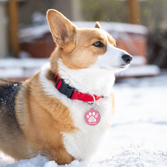 MYLUCKYTAG NFC & QR Code Smart Pet ID Tag - Personalized Dog & Cat Tag, Online Pet Profile, Location Alert Email