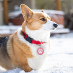 MYLUCKYTAG NFC & QR Code Smart Pet ID Tag - Personalized Dog & Cat Tag, Online Pet Profile, Location Alert Email