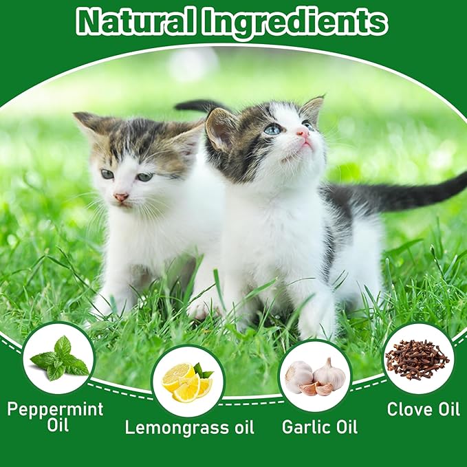 Cat Repellent Outdoor Indoor, 24 Pcs Peppermint Oil Natural Cat Deterrent Balls Preventing Cats Away from Indoor Furniture Scratch, Keep Cats Out of Yard Lawn Garden