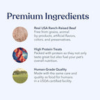 Honest Paws Dog Jerky Treats - All-Natural Jerky Dog Treats for Training Pets - Human Grade Bites - Real USA Beef