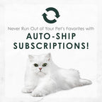 Purina Fancy Feast Senior Wet Cat Food 7 Years Plus Beef Feast Pate - (Pack of 24) 3 oz. Cans