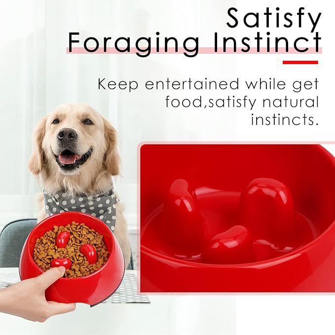 Super Design Slow Feeder Dog Bowl, 1.5 Cup, Nonslip, Heat-Resistant, Sturdy, Suitable for Medium to Large Dogs, Dishwasher Safe