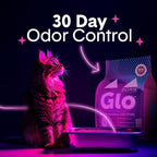 Boxie® Glo™ 30 Day Odor Control Clumping Clay Cat Litter, 16 lb, Multi-Cat, 99.9% Dust-Free, Low Tracking, UV Light Attractant, Superior Clumping for Easy Scooping