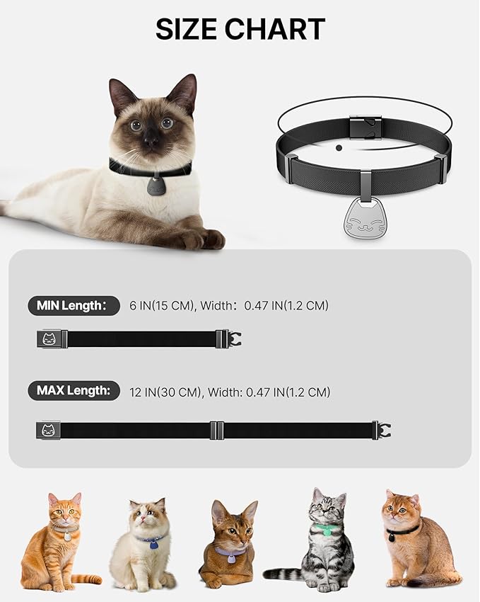 Cat Collar with QR Code Name Tag, Breakaway Kitten Collar for Boy & Girl Cats, Ultra Soft Elastic Adjustable Band, Safety Break Away Buckle, Comfortable & Secure Pet ID Collar (6"-12"), Black