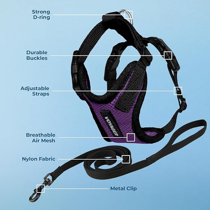 Voyager Escape-Proof Step-in Lock Cat Harness & 5ft Neoprene-Handle Leash Set All-Weather Mesh with Reflective Stitching for Small to Large Cats by Best Pet Supplies, Purple/Black Trim, XS