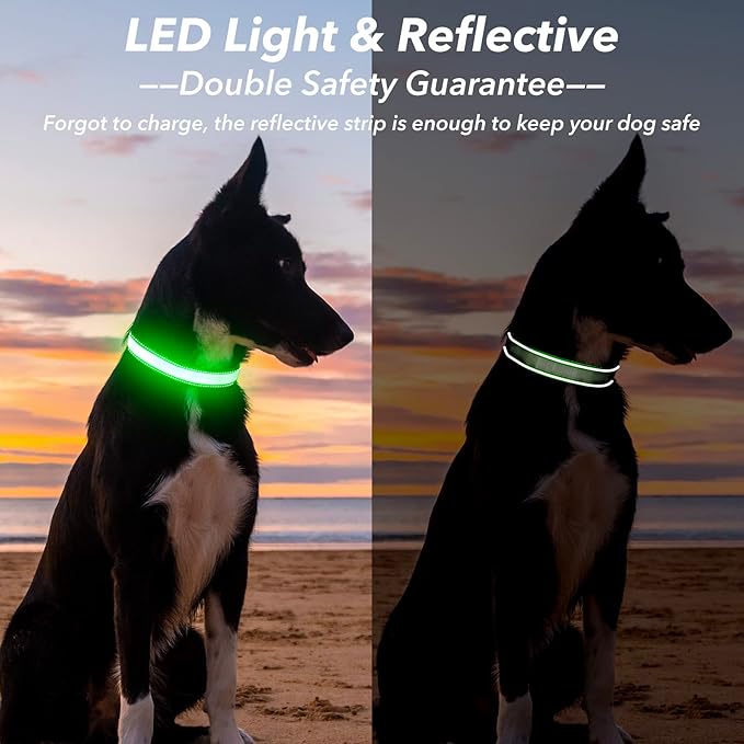 Visinite Light Up Dog Collar, Reflective LED Dog Collar, Adjustable Lighted Dog Collars Rechargeable Waterproof, Bright Dog Glow Collar for Pet Safety at Night Walking, Fit Large Medium Dogs