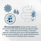 Forza10 - Dog Food, Vet Formulated Wet Dog Food for Allergies, Skin & Coat Support, Non-GMO, Lamb Flavor, Made in Italy (3.5 oz, 32 Pack)