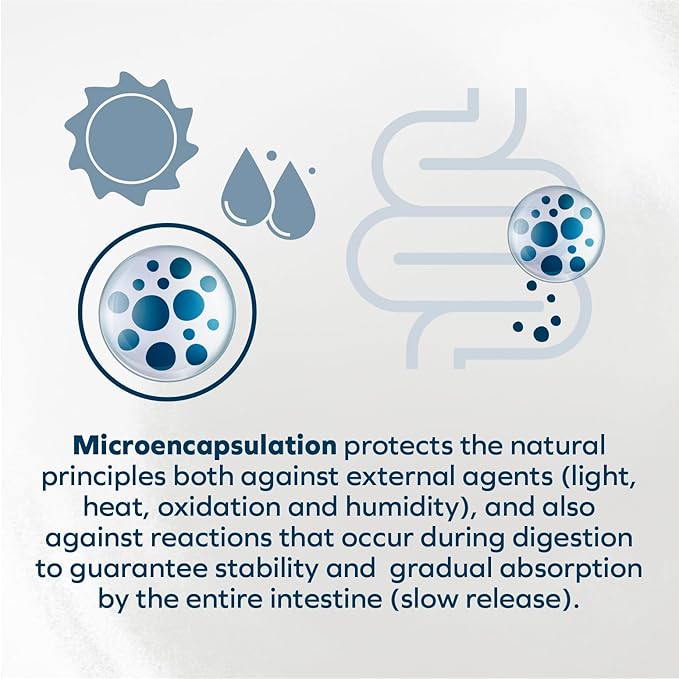 Forza10 - Dog Food, Vet Formulated Wet Dog Food for Allergies, Skin & Coat Support, Non-GMO, Lamb Flavor, Made in Italy (3.5 oz, 32 Pack)