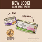 Wellness CORE Pate Kitten Wet Cat Food, Natural, Protein-Rich, Grain Free, 5.5 Ounce, 12 Pack (Turkey & Chicken Liver)