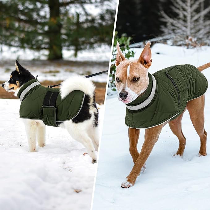 Dog Winter Coat Warm Padded Puppy Jacket Windproof Water Resistant Clothes for Small Medium Large Pets Christmas Sweater Outfit Vest(Green, 3XL)