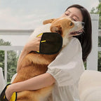 3 Pack Pet Hair Removal Gloves, Pet Grooming Glove, Reusable Cat Dog Electrostatic Hair Remover Grooming Mitten, for Cleaning Pet Hair From Sofas, Clothing, Carpets, Furniture, and Car Seats