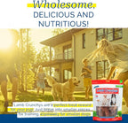PCI Pet Center Inc. Lamb Crunchys Raw Dehydrated Lamb Lungs Dog Treats, 16 Ounce Pack, LAM-016MC