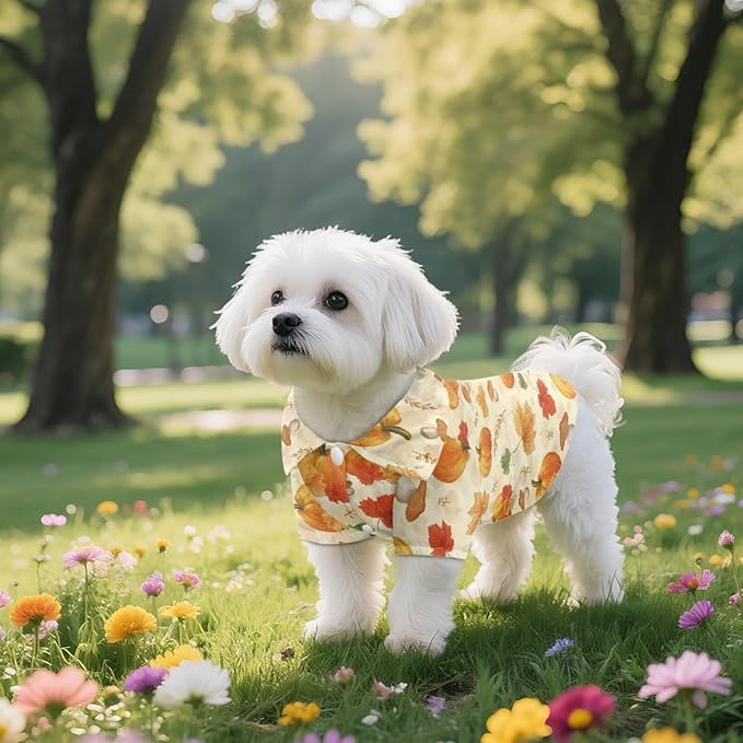Autumn Pumpkin Dog T-Shirt Teacup Chihuahua Dog Thanksgiving Clothes for Small Dogs Boy Girls Yorkie Puppy Clothes Breathable Collared Polo T-Shirts Doggy Pet Outfits Apparel Tops
