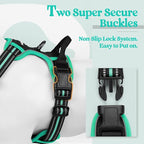 rabbitgoo Dog Harness No Pull with 2 Leash Clips, Adjustable Soft Padded, Reflective Oxford No Choke Pet Vest with Easy Control Handle for Large Dogs, Black & Turquoise, XL