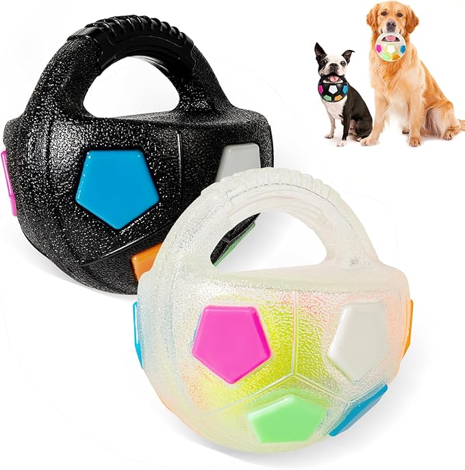 Dog Toy Ball with Handle, Toss and Fetch Play, Interactive Ball for Dogs Playing, Squeaky Floating (2pc)