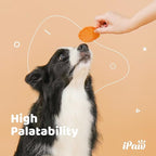 iPaw Chicken Chips Dog Treats for Puppy Training, All Natural Human Grade Dog Treat, Hypoallergenic, Easy to Digest (Chicken Chips)