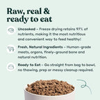 Little Hunter Freeze Dried Turkey Raw Dog Food | Grain Free, Limited Ingredient, Single Protein Meal or Mix in Topper | Novel Protein Kibble Alternative | 15 oz Bag