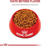 Royal Canin Feline Health Nutrition Dry Kitten Food, Supports Digestive Health, Immune Support and Healthy Energy, 14 lb Bag