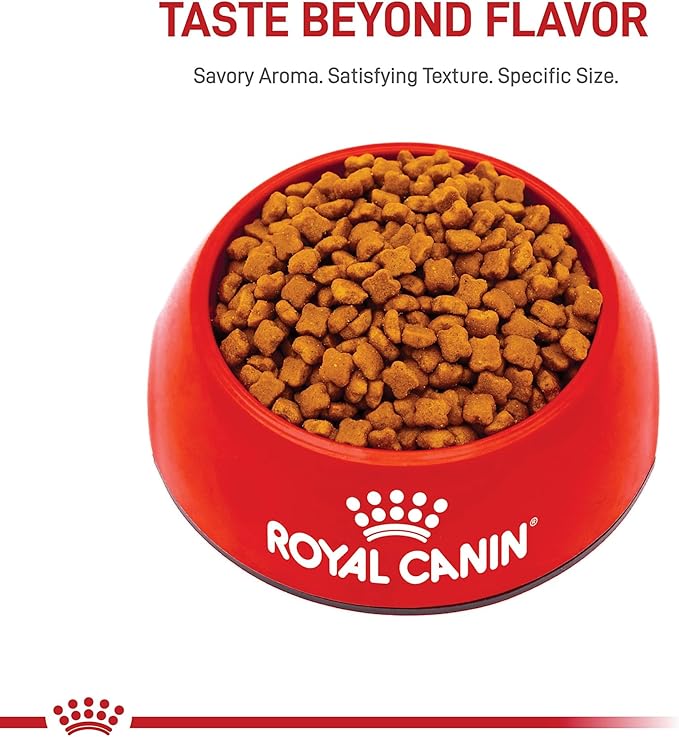 Royal Canin Feline Health Nutrition Dry Kitten Food, Supports Digestive Health, Immune Support and Healthy Energy, 3 lb Bag