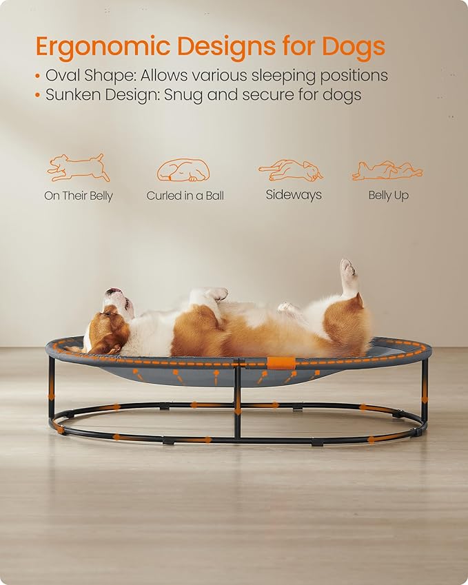 Feandrea Pet Bed, Cat Hammock, Elevated Cat Bed for Multiple Cats, with Removable Washable Mesh, for Pets up to 70 lb, Oval, Gray UPCB004G01