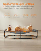 Feandrea Pet Bed, Cat Hammock, Elevated Cat Bed for Multiple Cats, with Removable Washable Mesh, for Pets up to 70 lb, Oval, Gray UPCB004G01