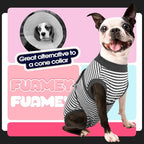 FUAMEY Dog Recovery Suit Male,Dogs Surgery Neuter Suits Puppy Spay Shirts for Female Protect Dog's Skin Anti Licking Abdominal Wounds Doggie Onesie Pet Bodysuit Alternative to Cone Gray Stripes L