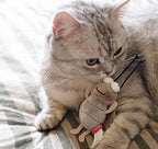 Gigwi Squeaky Cricket Cat Toy,Interactive Cat Toys Electronic Motion Activated Bug Sound，Automatic Cats Play Squeaky Toy for Indoor Fun