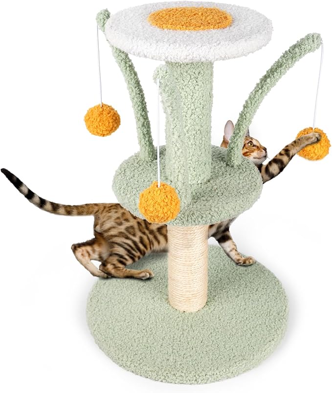 Cat Scratching Post - Cute Smaller Cat Tree Kitten Scratcher Sisal Scratch Posts with 3 Spring Ball, 18’’ Tall Cat Scratchers for Indoor Cats, Kittens (Mint Green)
