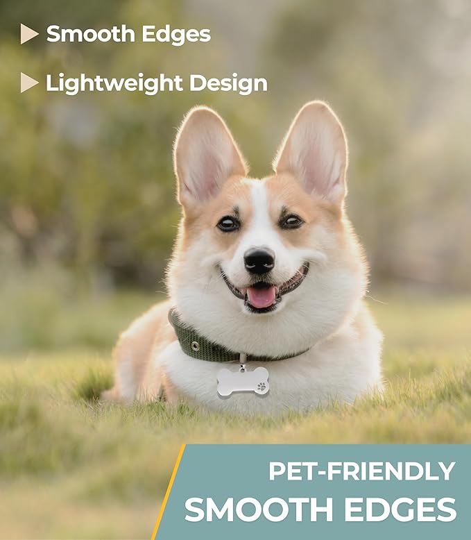 Blank Dog Tags 10PCS Smooth Edges Stainless Steel Blank Bone Shape Dog Tags Sublimation-Ready Pet Tag Pet ID Tag for Dogs Sublimation Dog Tag Blanks Laser Engraving Metal 1.9 x 1in