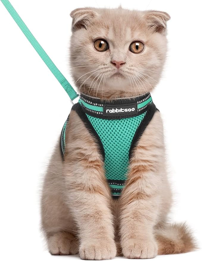 rabbitgoo Cat Harness and Leash Set for Walking Escape Proof, Adjustable Soft Kittens Vest with Reflective Strip for Cats, Comfortable Outdoor Vest,Green,L