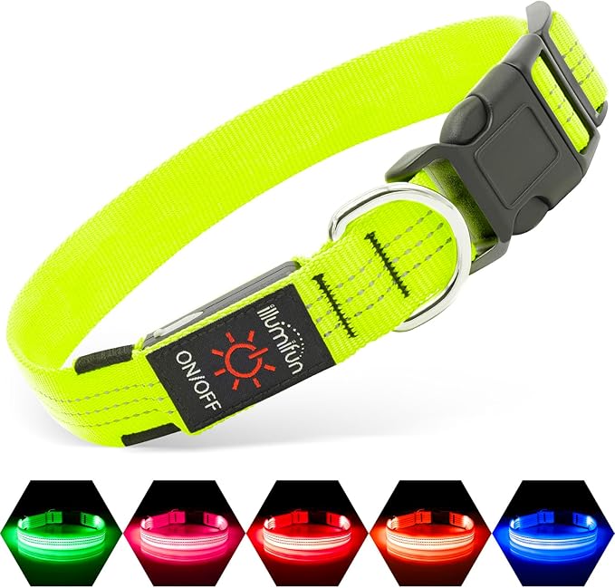 Illumifun Light Up Dog Collar, USB Rechargeable LED Dog Collar, Reflective Flash Pet Lighted Collar for Nighttime Walking (GreenⅢ, Large)