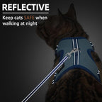 PUPTECK Cat Harness and Leash Set Escape Proof, Reflective Adjustable Soft Mesh Kitten Vest Harness for Walking Travel, Blue, M
