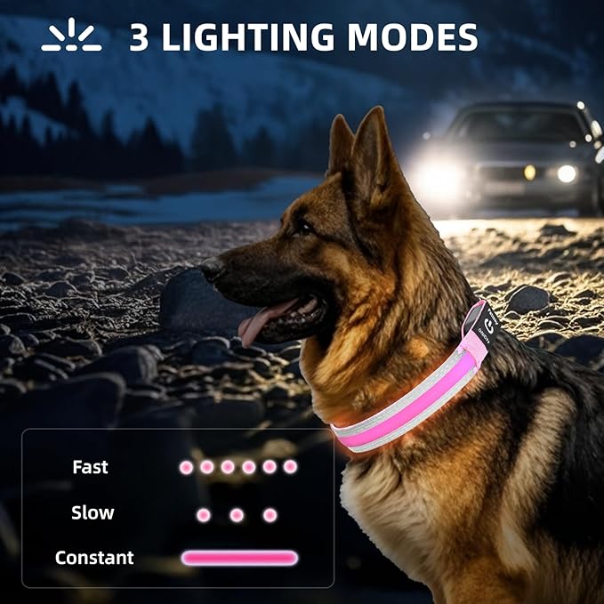 PetIsay LED Dog Collar Metal Buckle - Heavy Duty Light up Collars - Rechargeable IP68 Waterproof - Lighted Dog Collar for Night Walking, Hiking, Camping (Small, Pink)