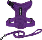 Voyager Escape-Proof Step-in Lock Cat Harness & 5ft Neoprene-Handle Leash Set All-Weather Mesh with Reflective Stitching for Small to Large Cats by Best Pet Supplies, Purple, XXXS