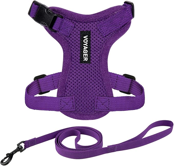 Voyager Escape-Proof Step-in Lock Cat Harness & 5ft Neoprene-Handle Leash Set All-Weather Mesh with Reflective Stitching for Small to Large Cats by Best Pet Supplies, Purple, S