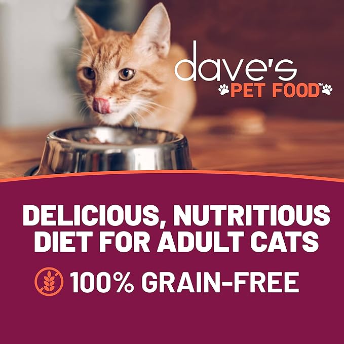 Dave's Pet Food Grain Free Wet Cat Food (Minced Chicken in Gravy), Naturally Healthy Canned, Added Vitamins & Minerals, Wheat, Gluten & GMO-Free, 2.8 oz (24 Pack)
