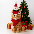 2 Pcs Cat Christmas Costume Cat Santa Hats with Scarf Pet Hat Scarf Set Pet Christmas Outfit Party Costume Supplies for Cats Small Dogs Puppy Accessories(Red,Santa Claus Style)