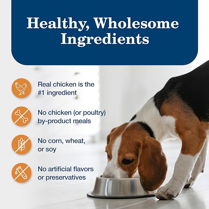 Blue Buffalo Homestyle Recipe Large Breed Adult Wet Dog Food, Made with Natural Ingredients, Chicken Dinner With Garden Vegetables, 12.5-oz. Can (Pack of 12)