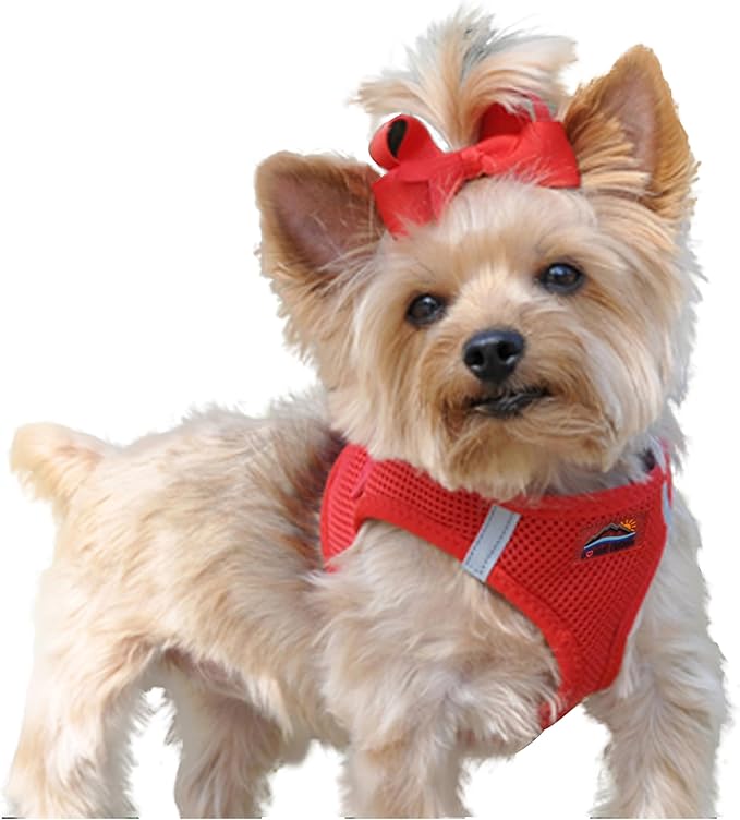DOGGIE DESIGN American River Ultra Choke-Free Mesh Dog Harness Red (X-Small)