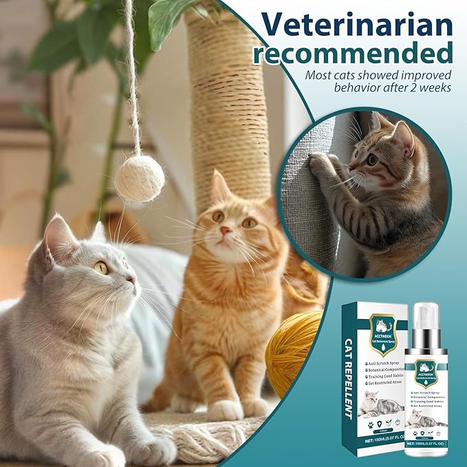 Advanced Cat Deterrent Spray, Natural Formula Cat Repellent Indoor and Outdoor, Strengthened Cat Scratch Deterrent for Furniture, Sofas, Rugs, Curtain Protection, Stop Cats from Urinating(Circus)