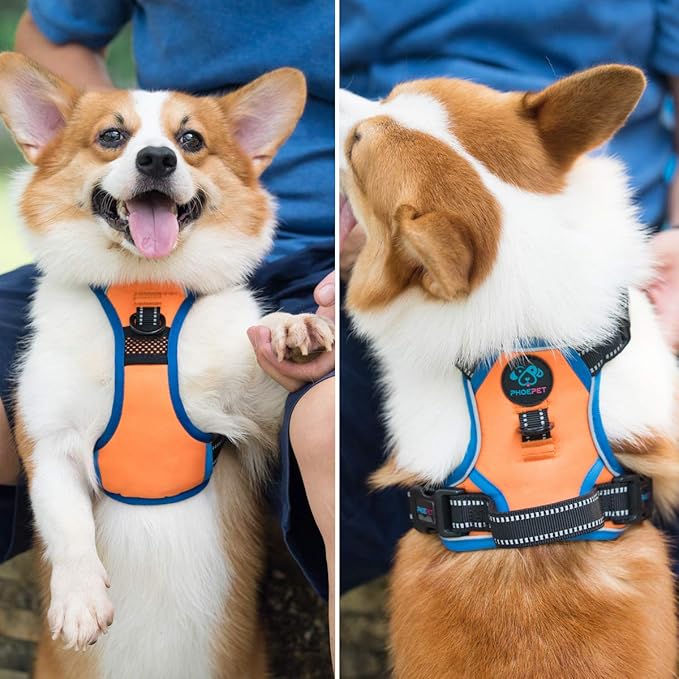 PHOEPET 2019 No Pull Dog Harness Medium Reflective Front Clip Vest with Handle,Adjustable 2 Metal Rings 3 Buckles,[Easy to Put on & Take Off](M, Orange)