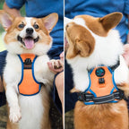 PHOEPET 2019 No Pull Dog Harnesses for Small Dogs Reflective Adjustable Front Clip Vest with Handle 2 Metal Rings 3 Buckles [Easy to Put on & Take Off](S, Orange)